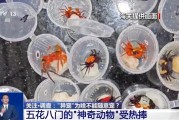 海门@铲屎官们 养“异宠”或危害国家安全 这些行为违法了