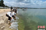 海门云南江川举行增殖放流活动 逾54万尾鱼游入星云湖